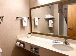 Rodeway Inn & Suites-浴室