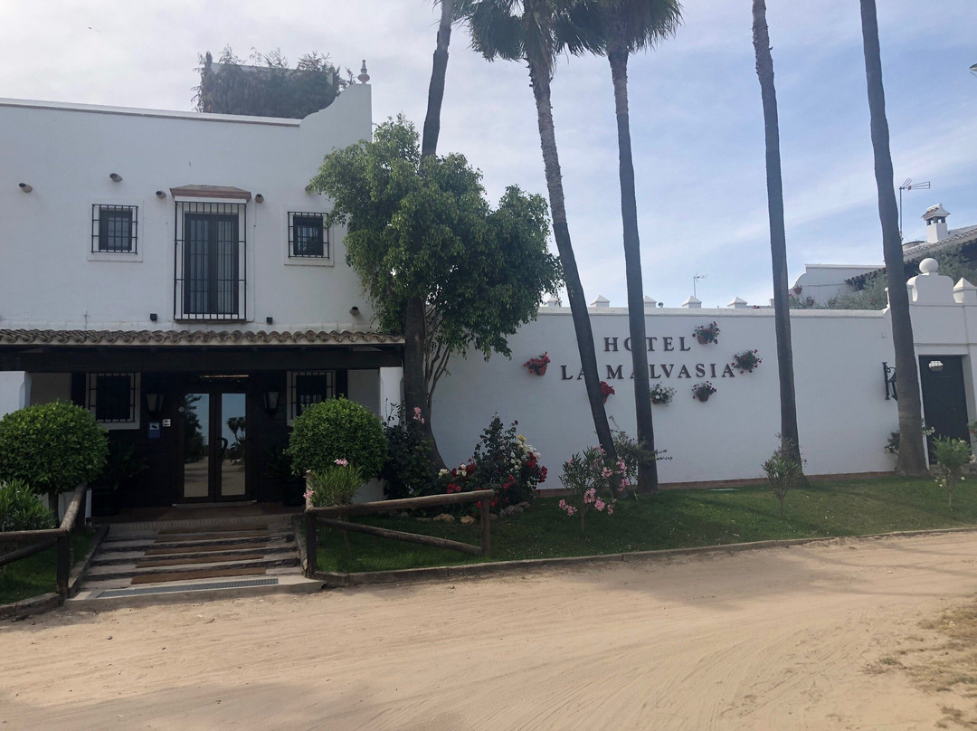 Hotel Cortijo Las Malvasias主图