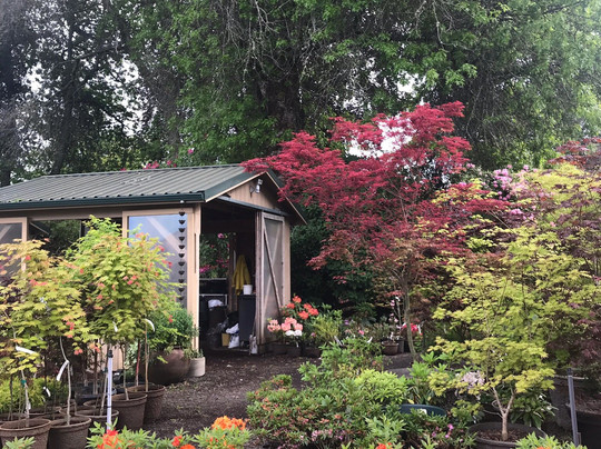 Whitney Gardens and Nursery-Brinnon必去景点