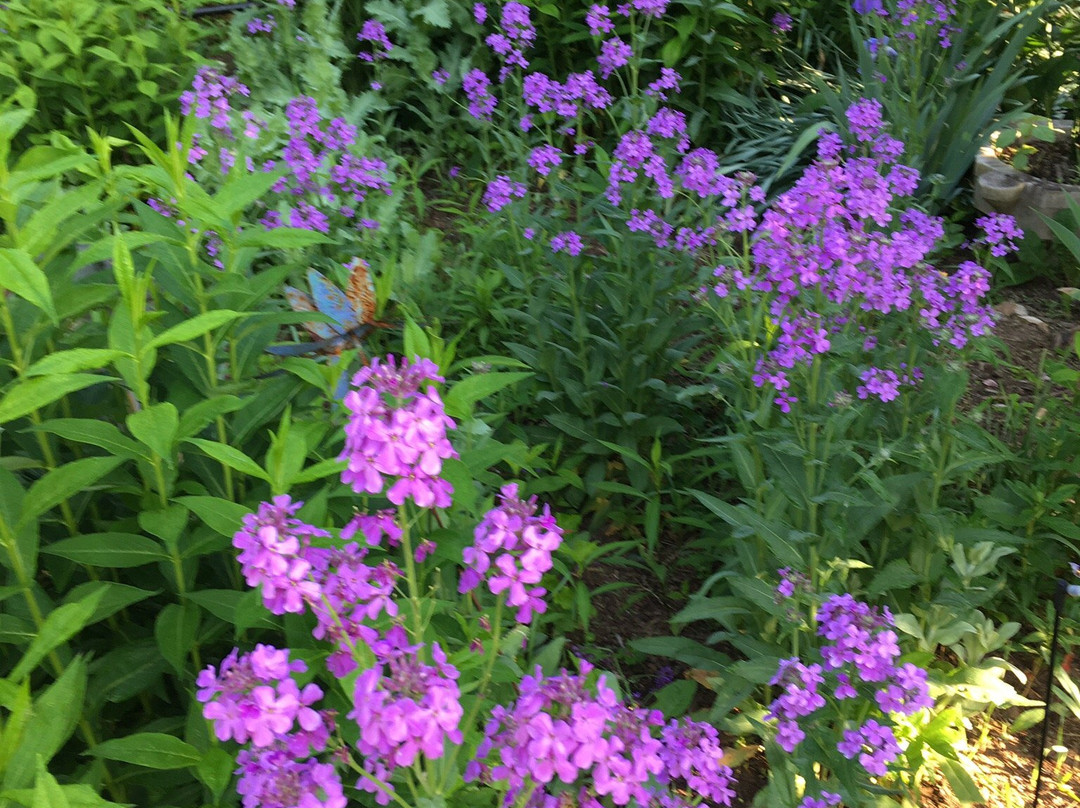 Meadowsweet Gardens Inn主图