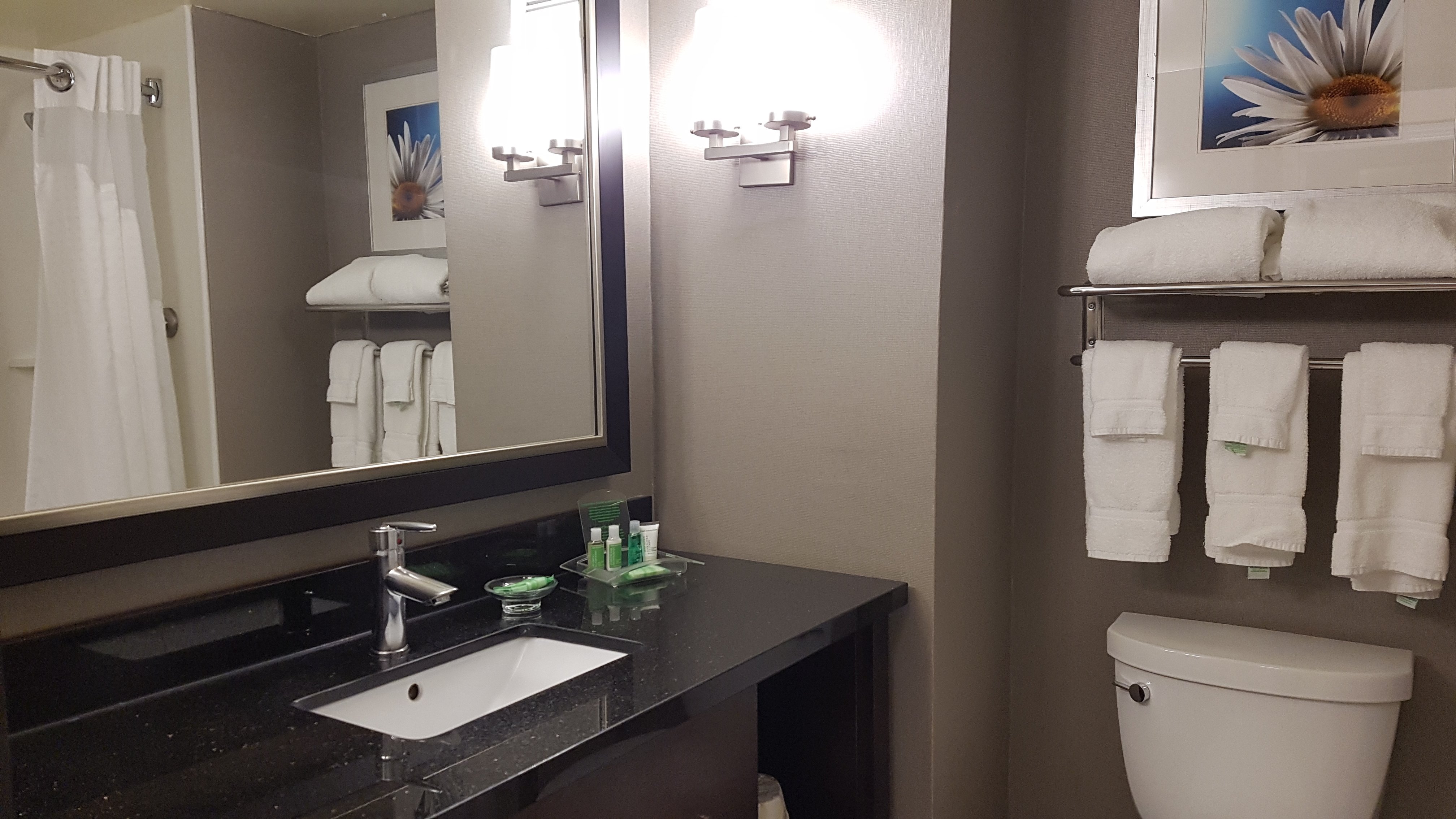 DoubleTree by Hilton Pointe Claire Montreal Airport West-浴室