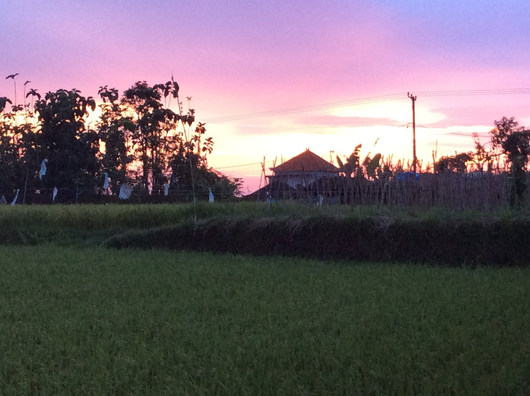 Shangrilah Villas主图