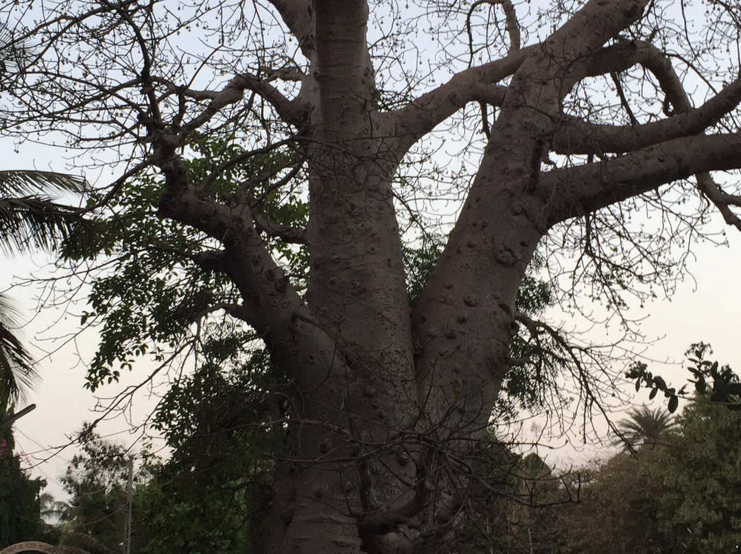 Globe Hotel Udvada主图