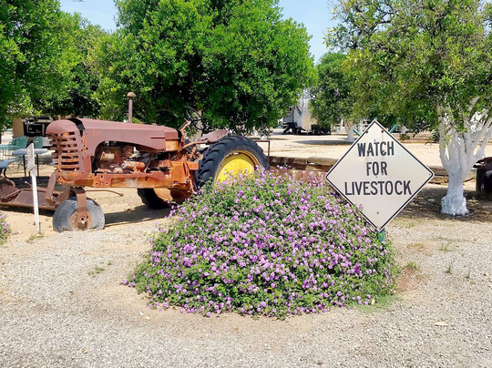 Orange Grove RV Park主图