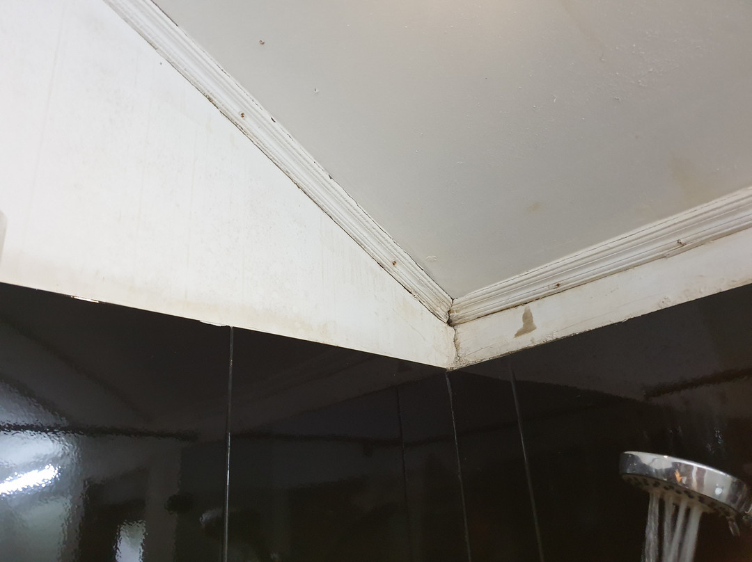 提沙维瓦保护区酒店主图