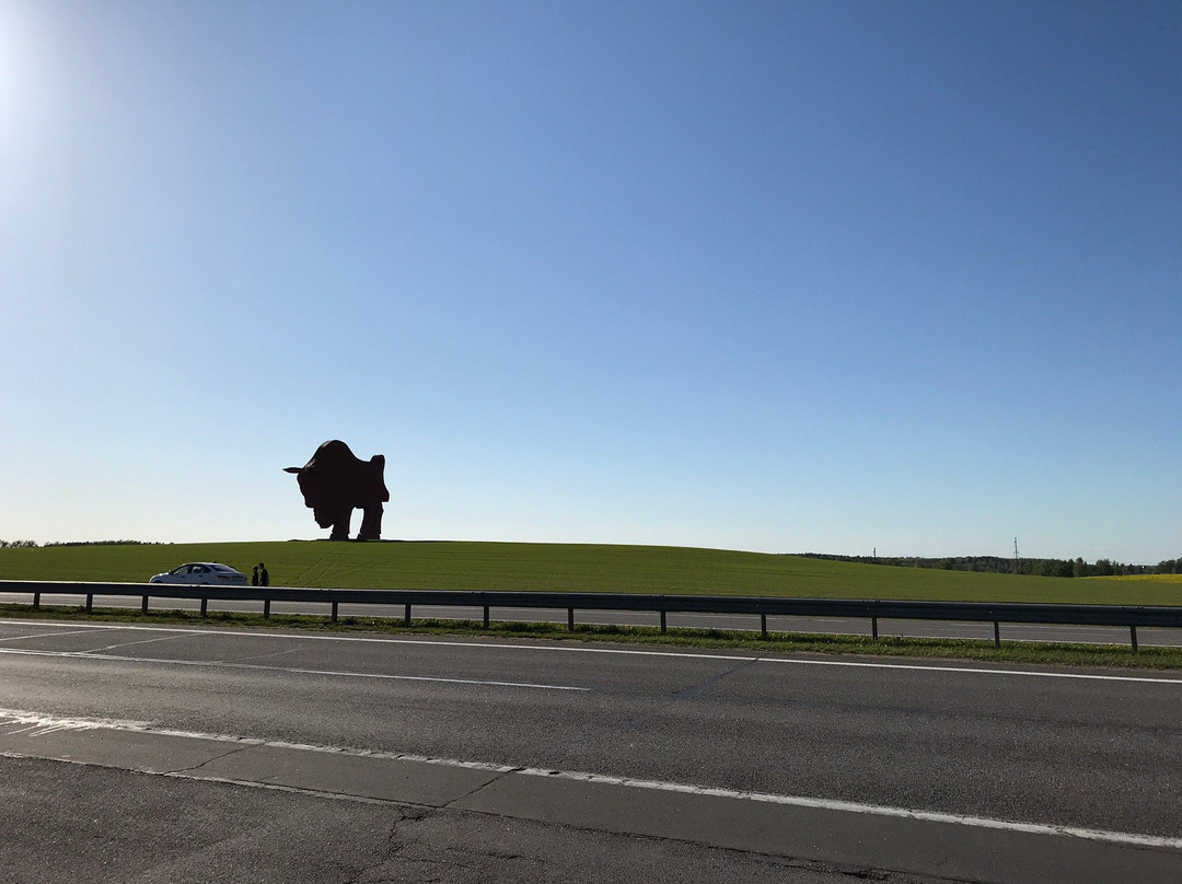 Bison on Route Brest - Minsk景点图片