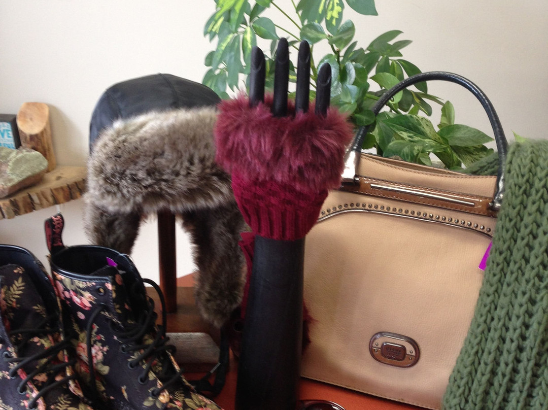 Vintage & Young-Port Perry必去景点