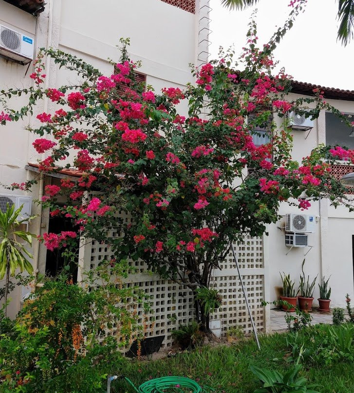 Hotel Belvedere主图