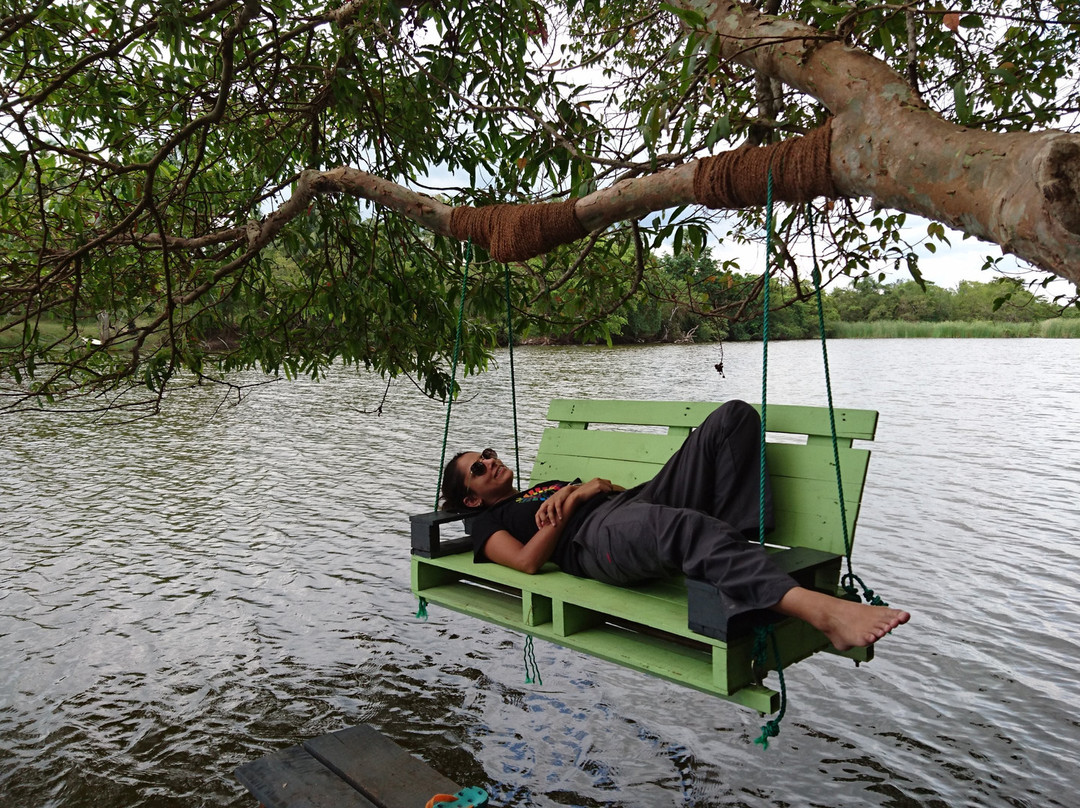 The Backwaters主图