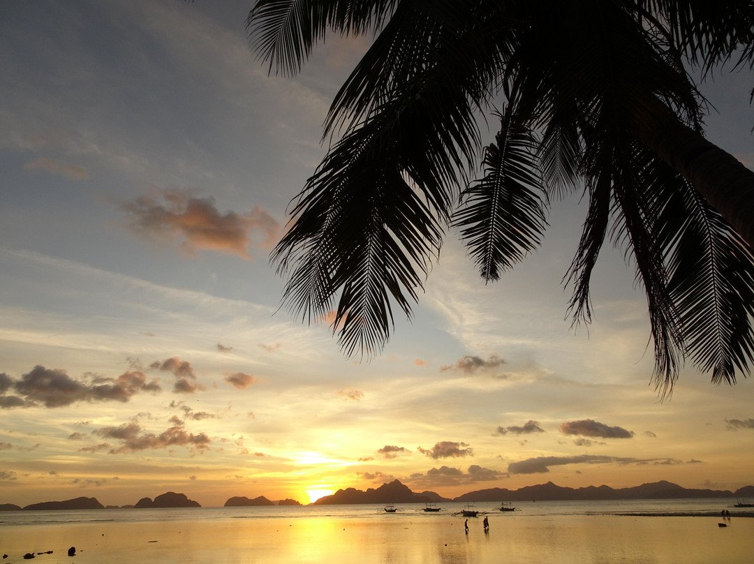 C. F. Flores Learn & Travel Systems-奎松市必去景点