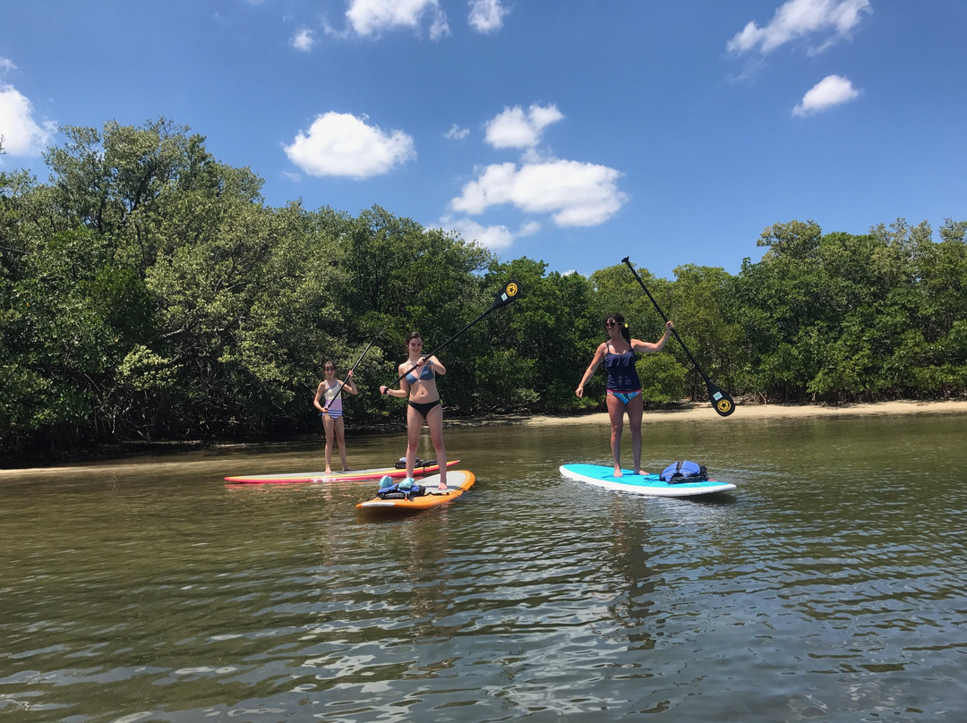 High Point Paddle Adventures-North Palm Beach必去景点