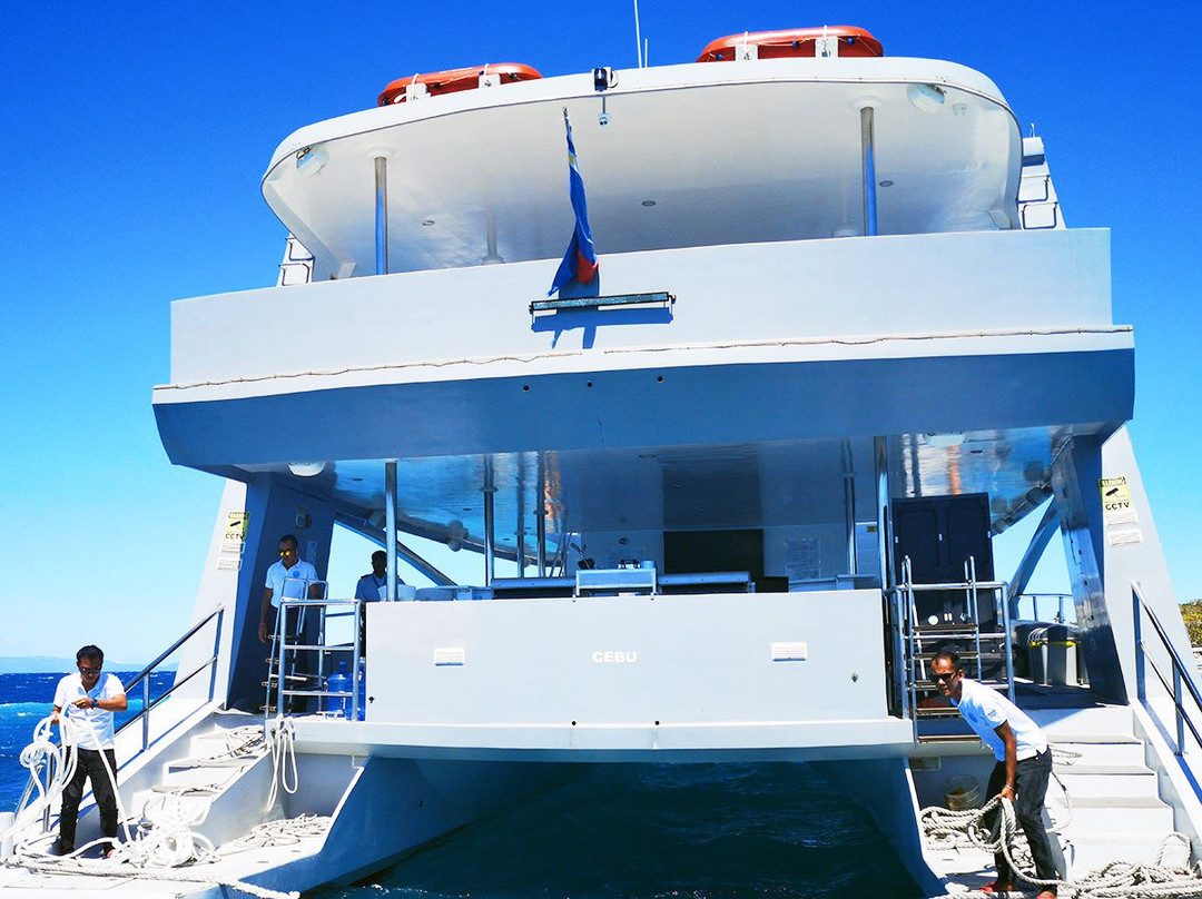 Dreamcat Marine Adventures-Panglao必去景点