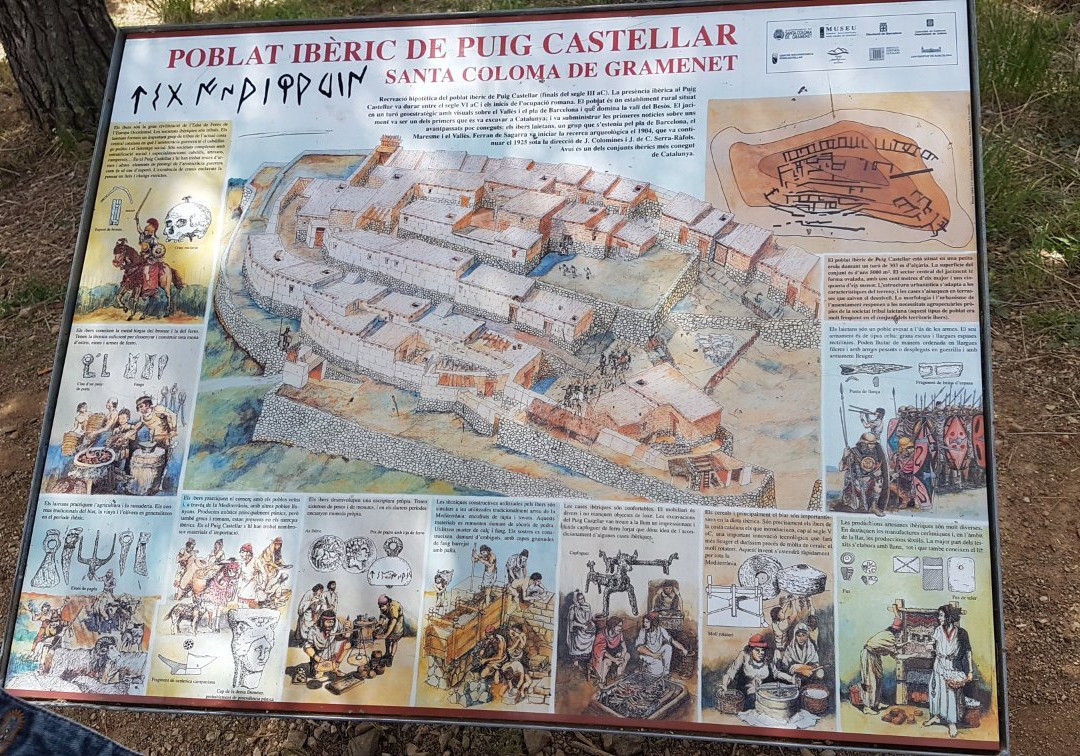 Poblat Iberic Puig Castellar景点图片