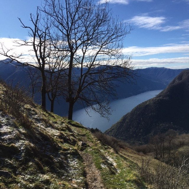 Passeggiata con i Lama-Blessagno必去景点