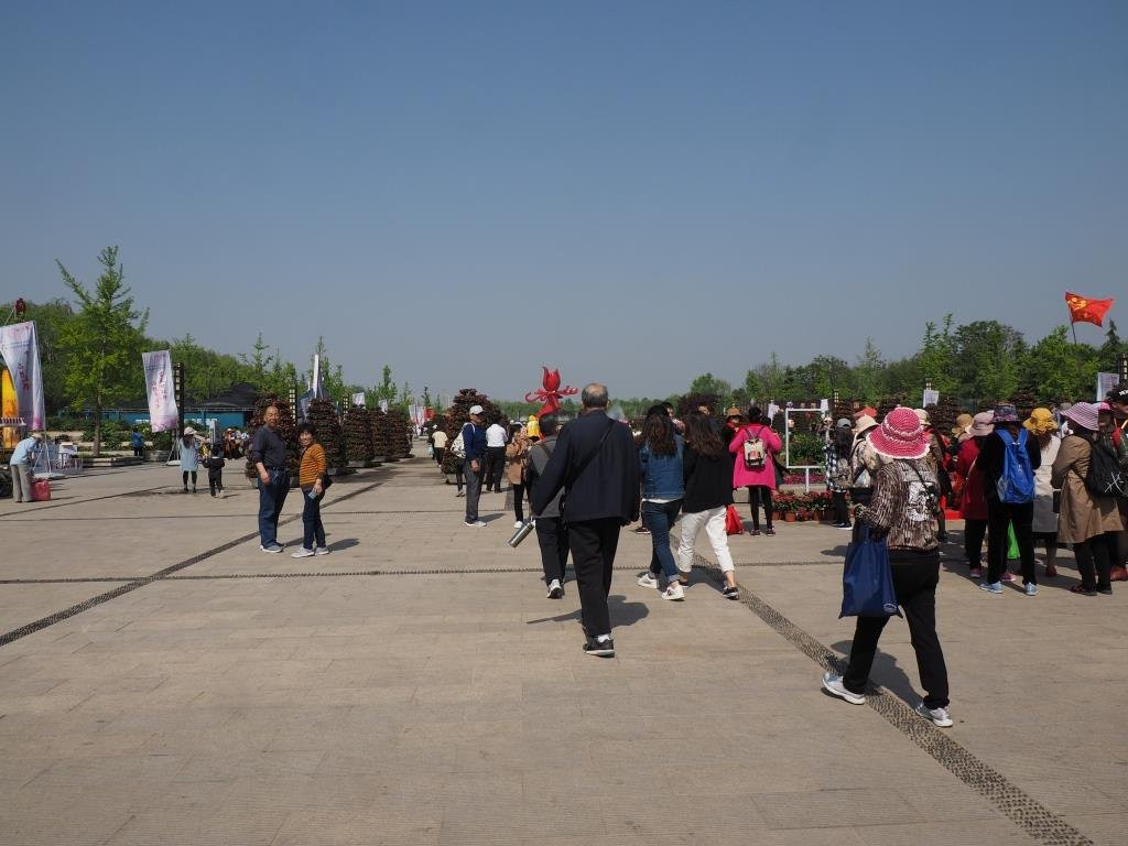 曹州牡丹园菏泽国际牡丹文化旅游节景点图片