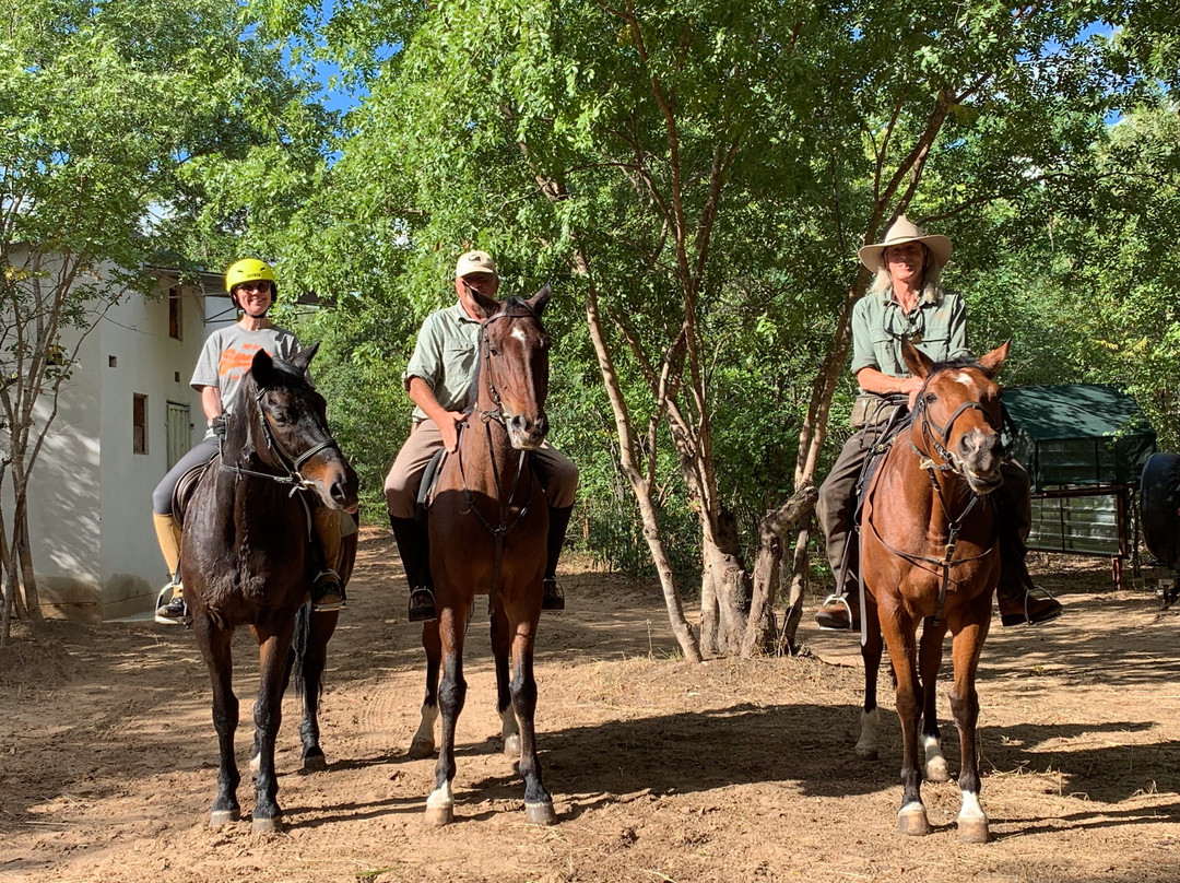 Hwange Horseback Safaris景点图片