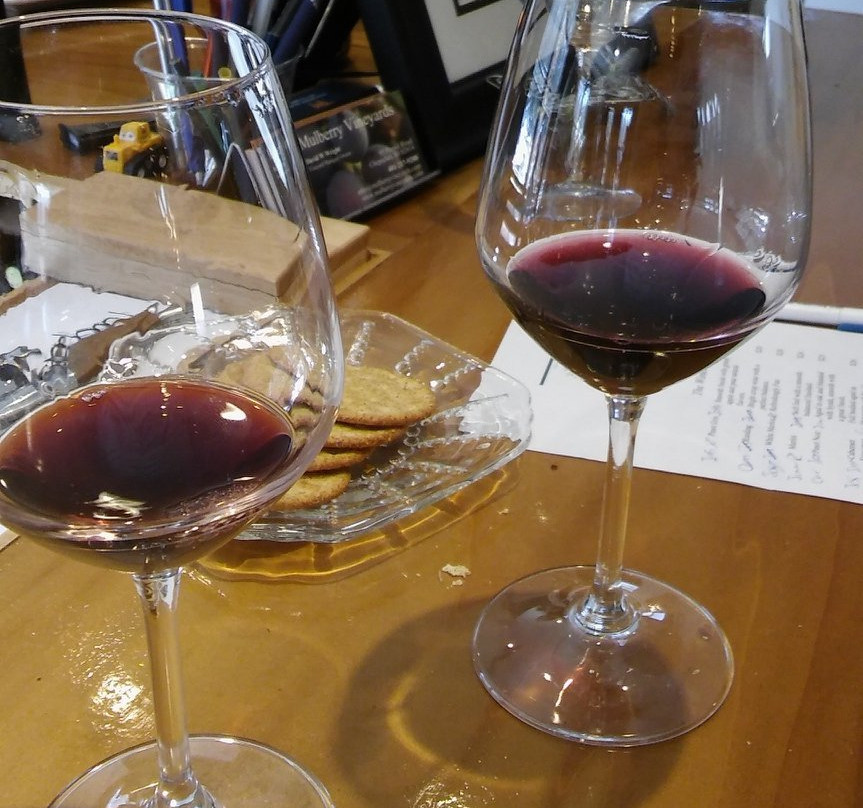 Mulberry Vineyard-Chepachet必去景点