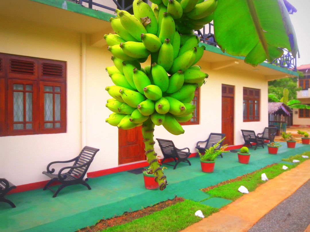 New Peacock Resort主图