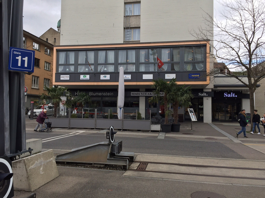 Hotel Blumenstein主图