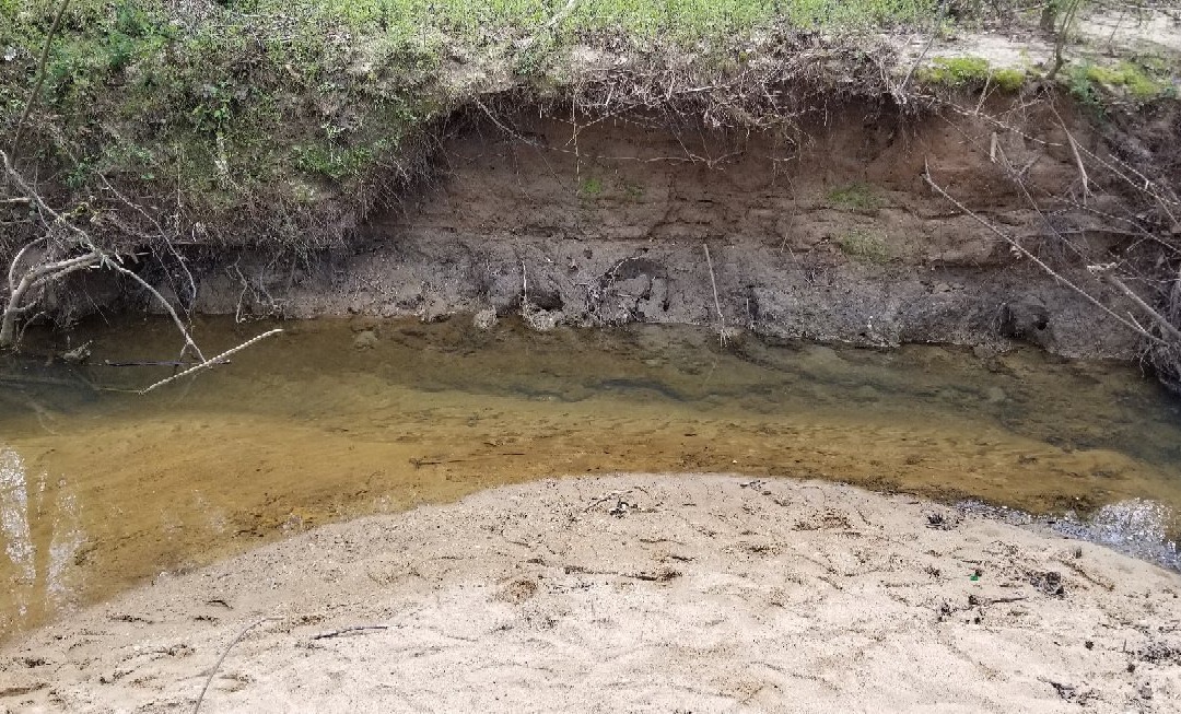 Logan Farm Park-Acworth必去景点