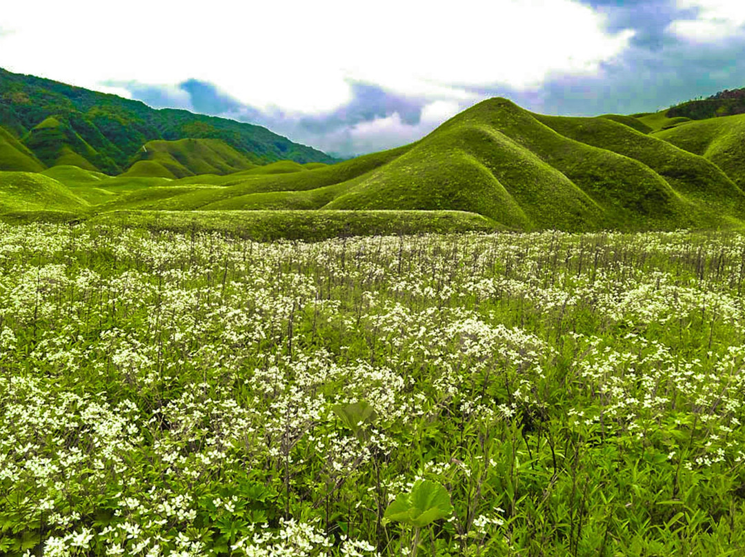 ALDER TOURS AND TRAVELS-Kohima必去景点