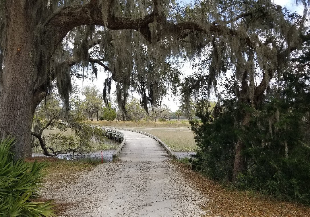 Sapelo Hammock Golf Club-Shellman Bluff必去景点