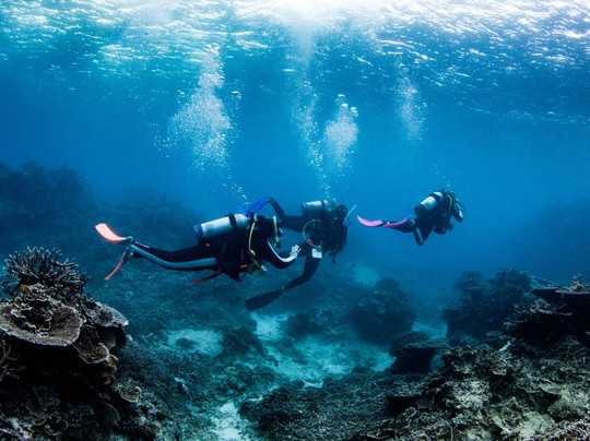 Lady Elliot Island Dive Shop-埃里奥特夫人岛必去景点