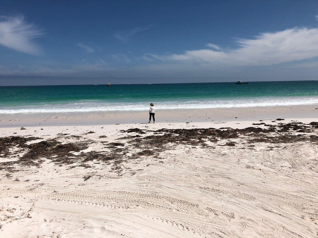 Wedge Island Point Beach景点图片