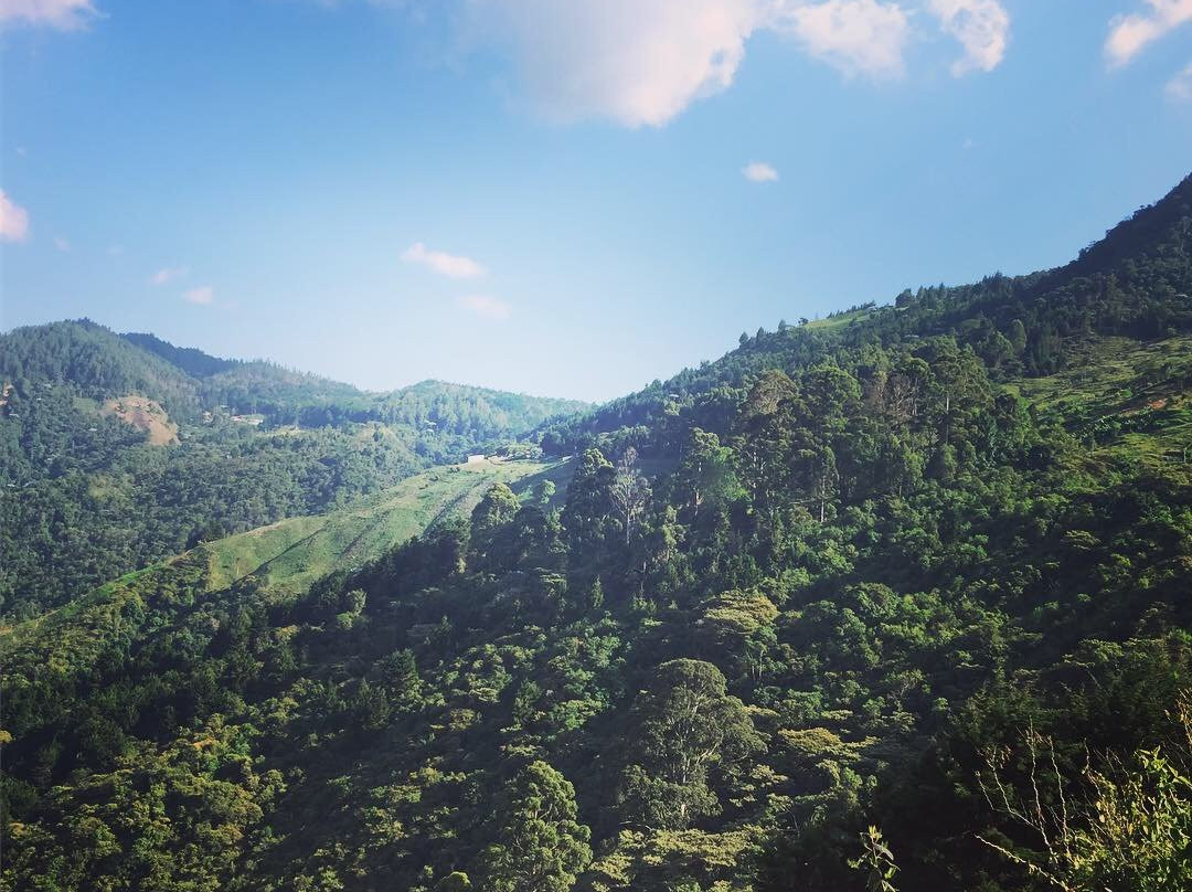 Riding Elements-麦德林必去景点