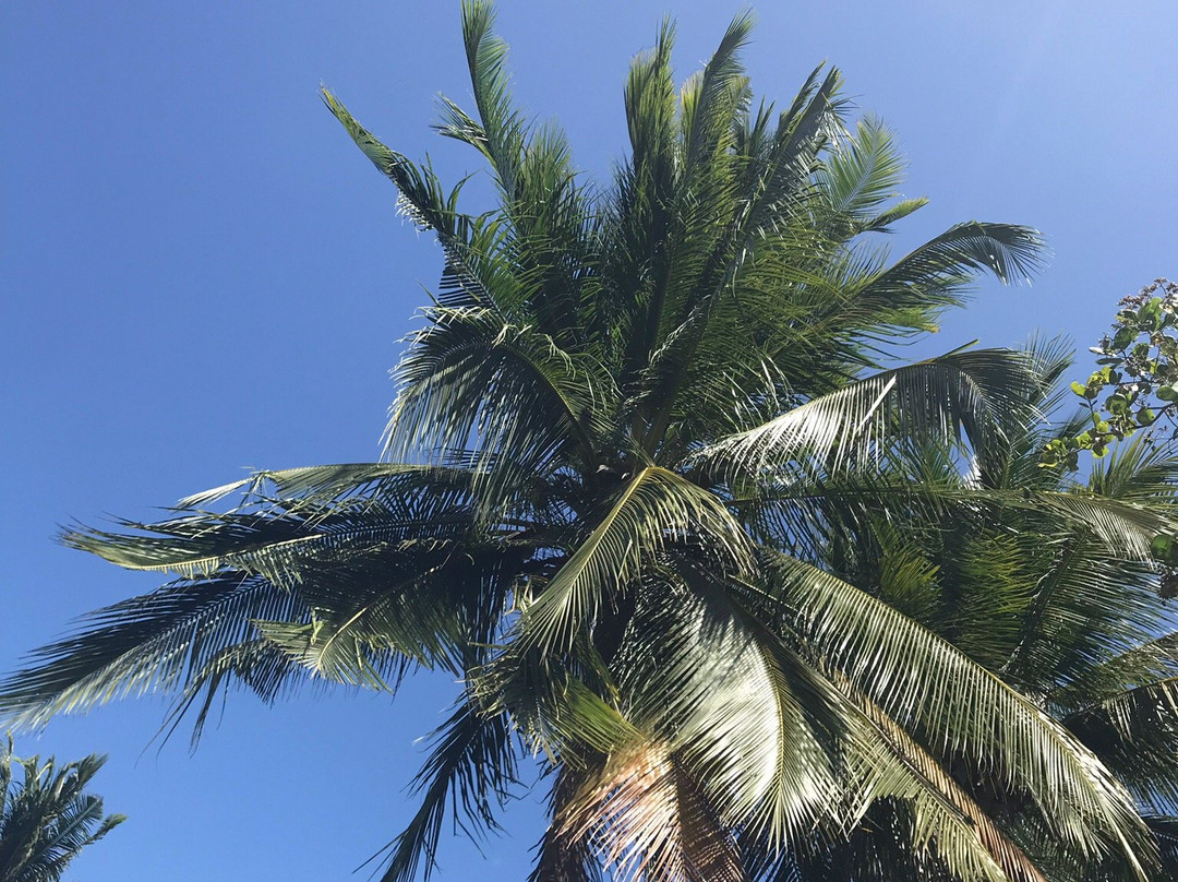 Cheron Island-科隆必去景点