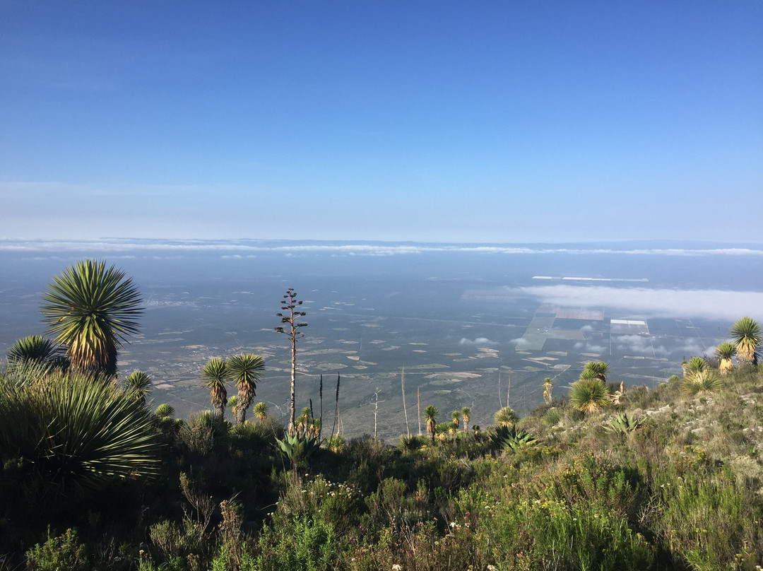 Cerro del Quemado-Real de Catorce必去景点