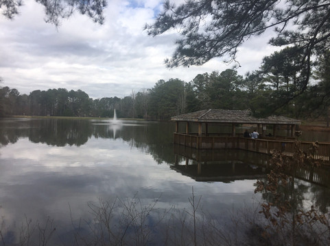 Sims Lake Park-苏万尼必去景点