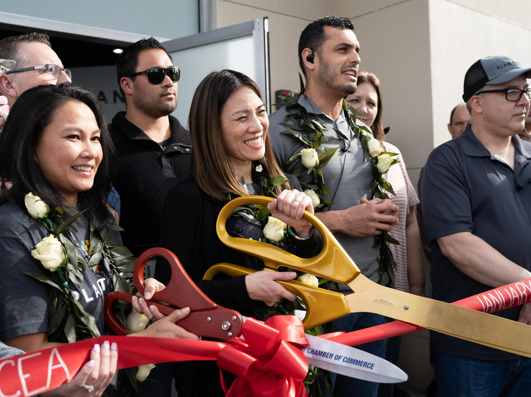 Plantacea-锡赛德必去景点