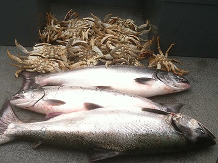 Hammond Guide Service-波特兰必去景点