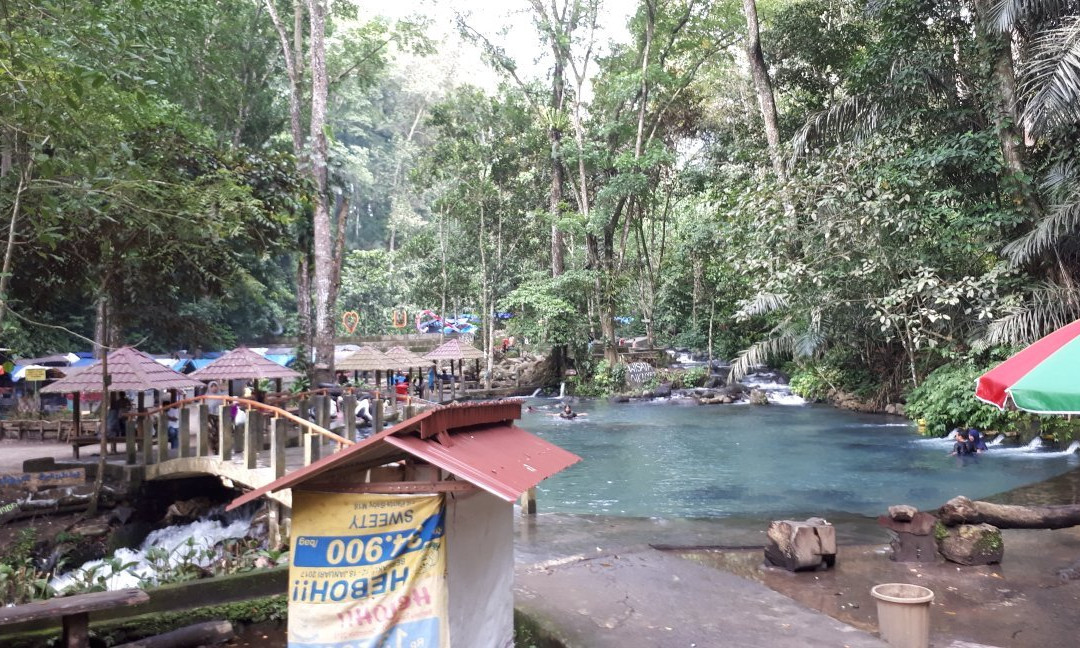 Sesaot Forest-马塔兰必去景点