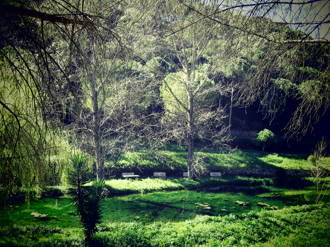 Quinta Rio Alcaide主图