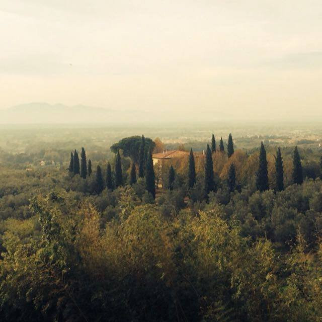 Agriturismo Cocò