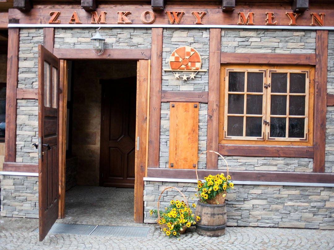 Hotel Zamkowy Mlyn主图