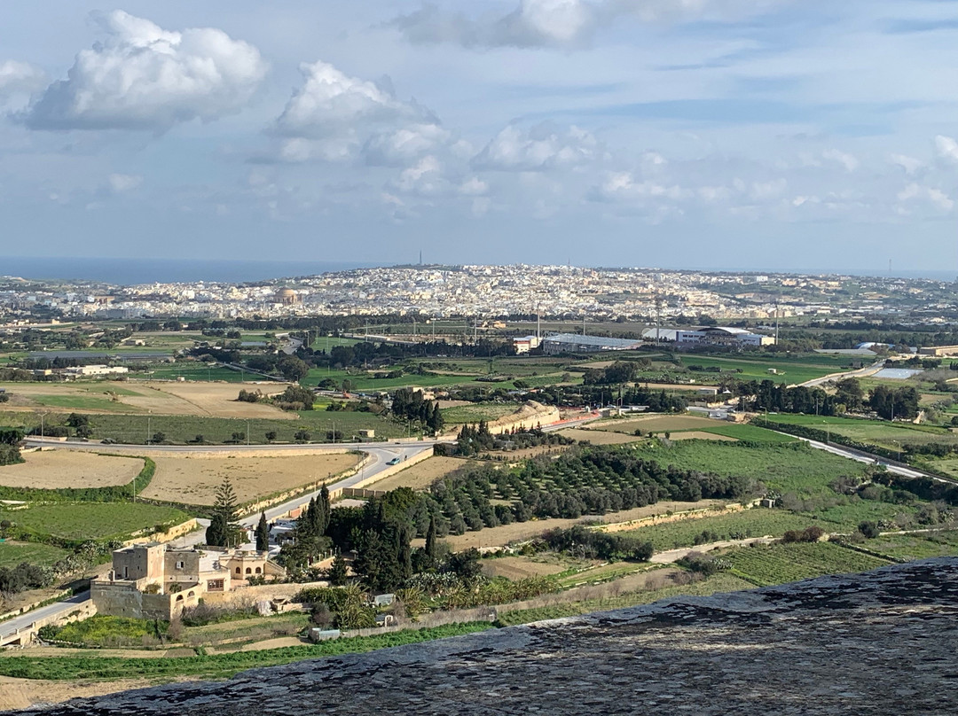 Go! Running Tours Malta景点图片