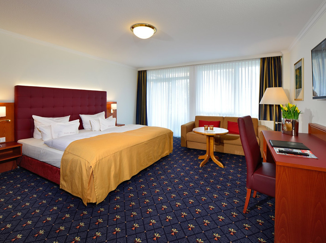 Hotel Drei Birken主图