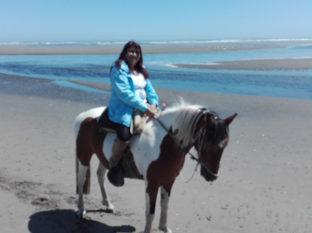 Palafito Trip Tours Chiloe-Cucao必去景点