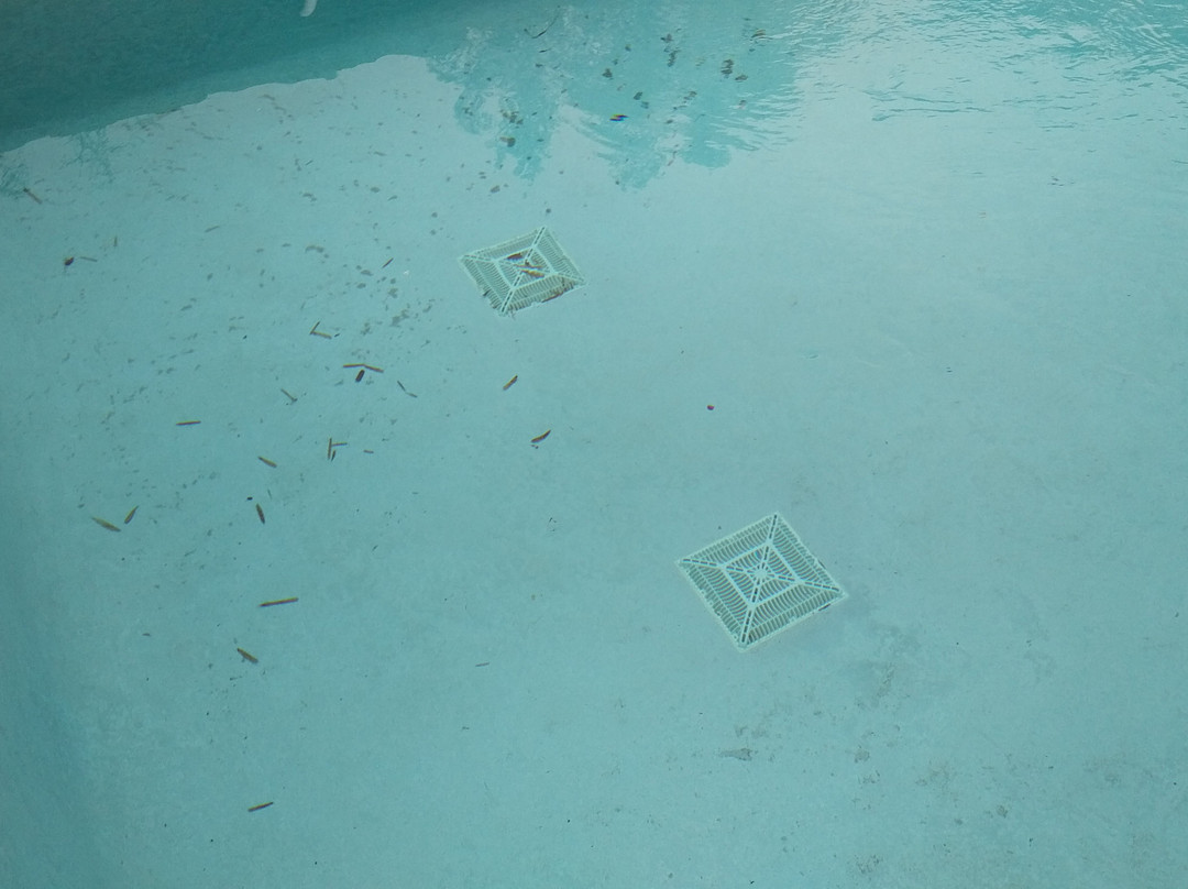 La Quinta Inn & Suites by Wyndham Lake Charles - Westlake主图