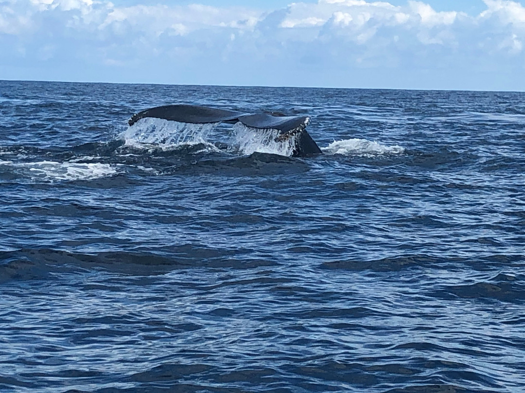 AligaTours-普拉塔港必去景点