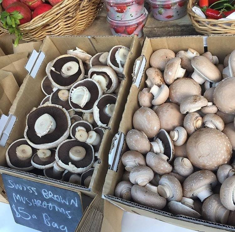 Coburg Farmers' Market景点图片