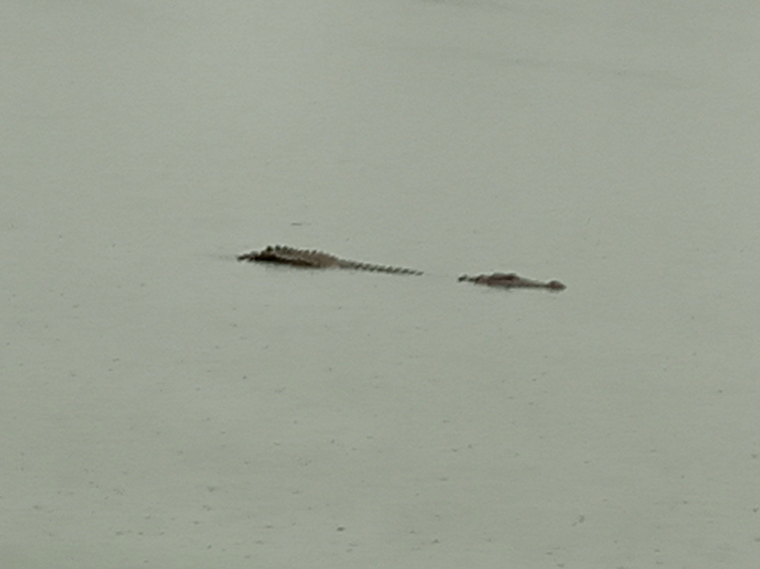 Lagoon Inn & Restaurant主图