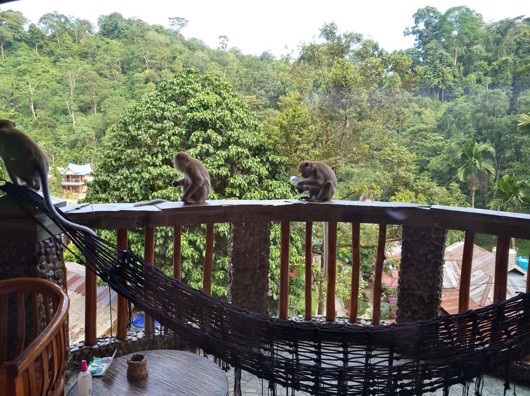 Hotel Orangutan主图