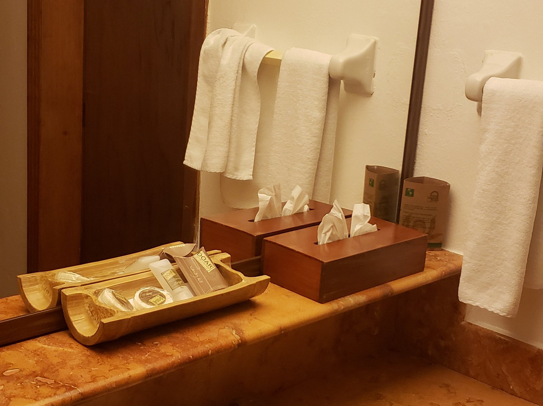 Hotel Ciudad Real Palenque主图