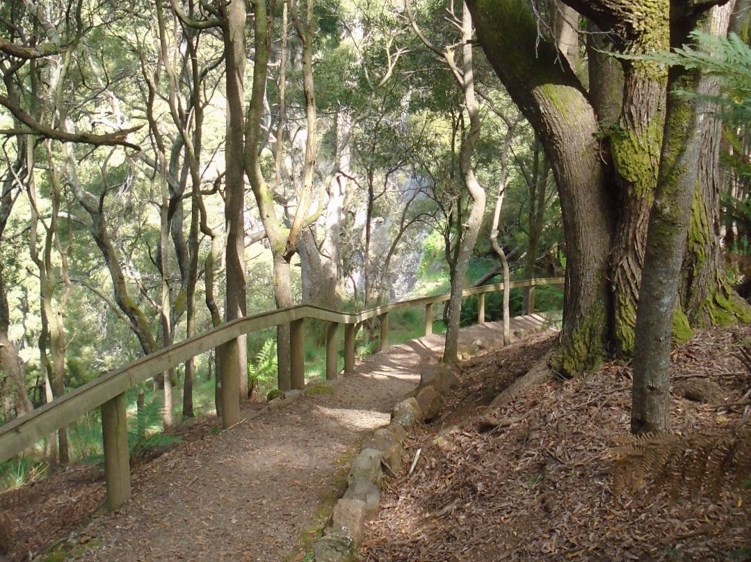 Preston Falls-Ulverstone必去景点