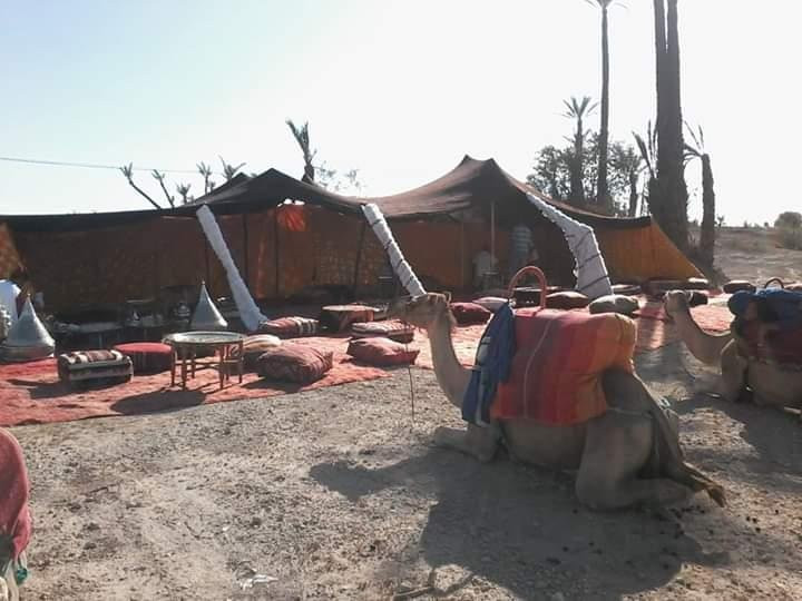 imskre tours-马拉喀什必去景点