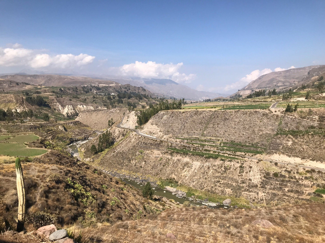 Chakapata Ecolodge主图